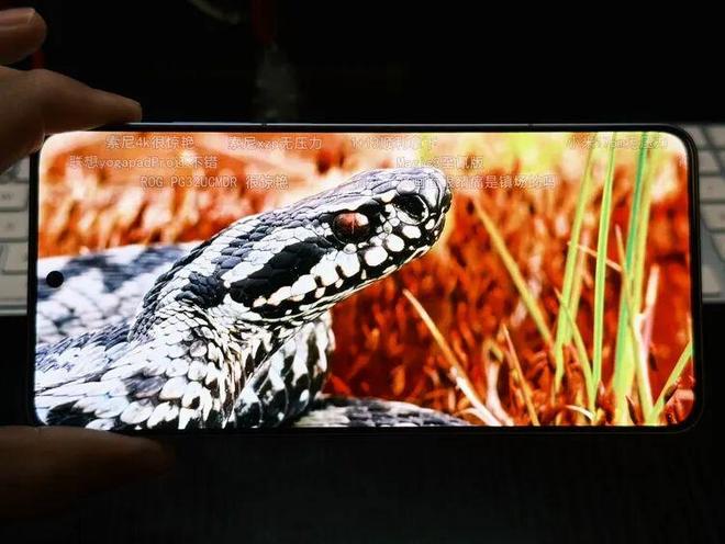 1 ：一杯即满配的“超神游戏机”来了pg模拟器电脑版iQOO Neo1(图1)